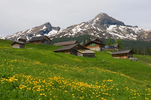 Alpské domy, Švýcarsko — Stock fotografie