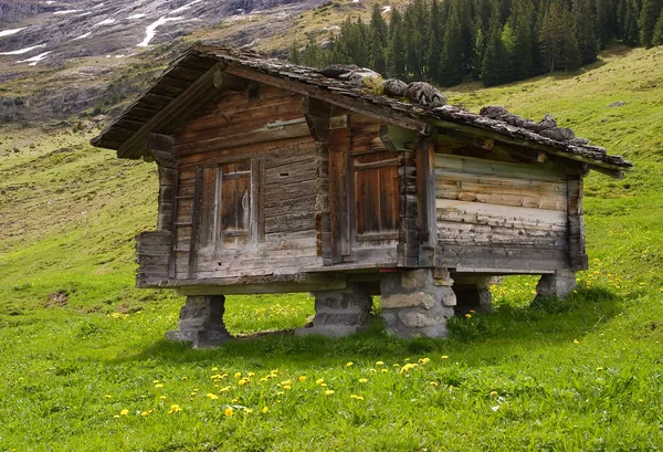 Berghütte aus Holz mit Steindach — Stockfoto
