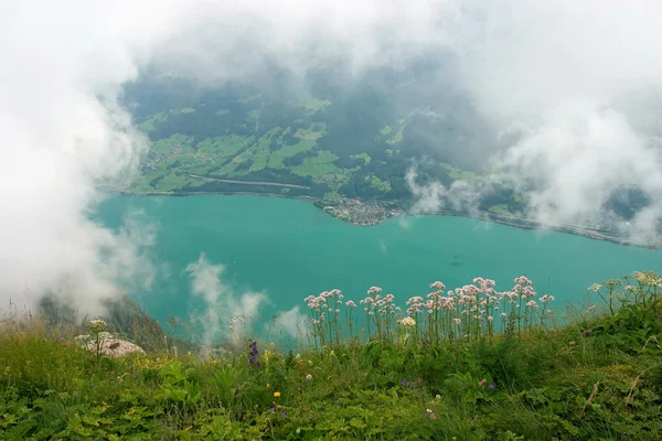 Vista sobre el lago Walensee — Foto de Stock