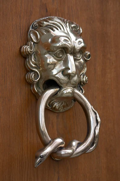 Ornate door knocker — Stock Photo, Image