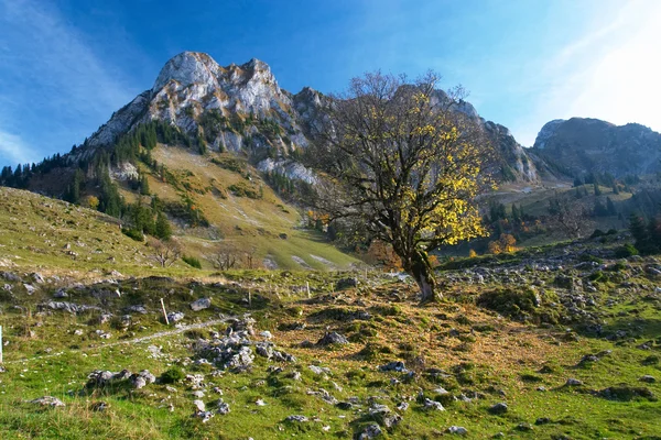 瑞士汝拉山区的秋天 — 图库照片