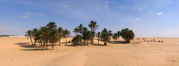 Kamelkarawane steuert Oase in der Wüste an — Stockfoto