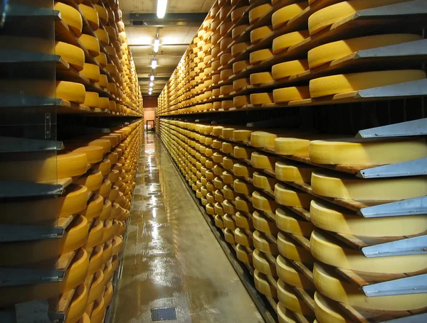 Ряди сирних хлібів Ліцензійні Стокові Фото