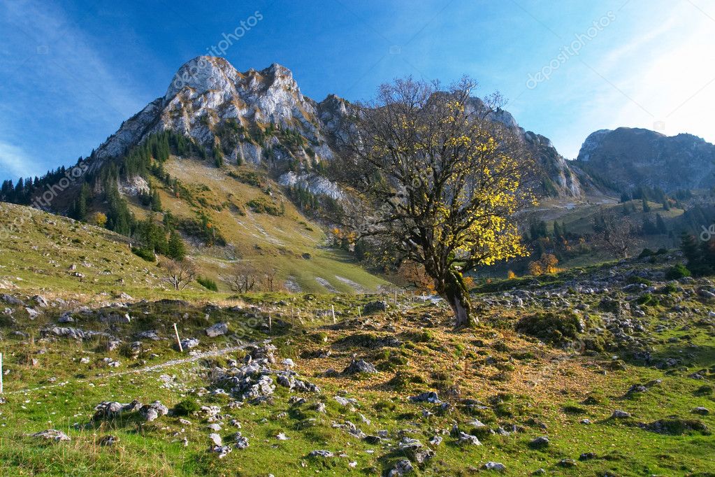 Autumn in Jura mountains, Switzerland — Stock Photo © exinocactus 1805335