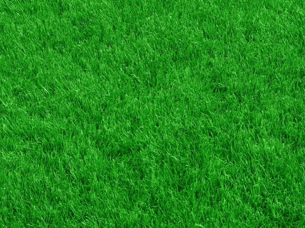 Frische Frühling grünes Gras Hintergrund — Stockfoto