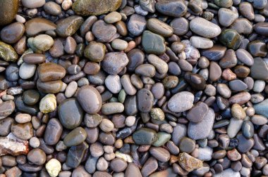 Marine wet pebbles of different colors clipart