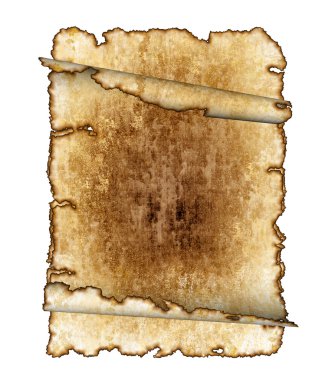 Rough antique parchment paper scrolls clipart