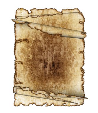 Three antique parchment paper scrolls, clipart