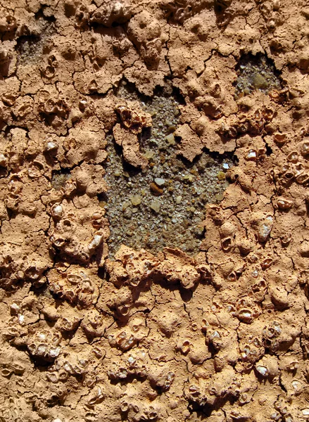 Цементна стіна, гранжева текстура — стокове фото