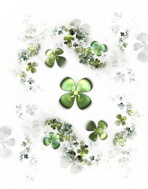 Four leafed clovers on white, shamrock clipart