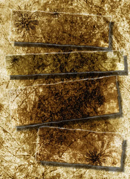Torn antique parchment paper texture — Stock Photo, Image
