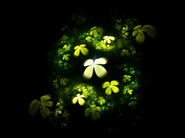 Four leafed clover on black — Stock Photo, Image