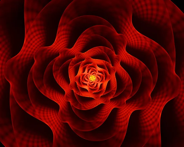 Ohnivý květ, červený květ lásky — Stock fotografie