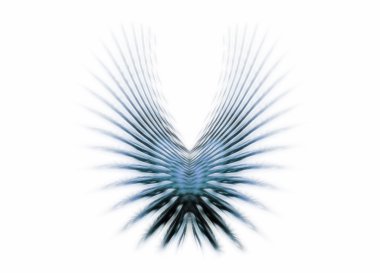 Blue wings clipart