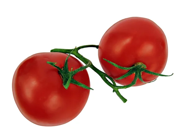 Świeżych pomidorów na białym tle — Zdjęcie stockowe
