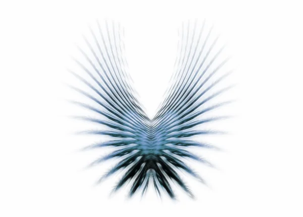 Blaue Flügel — Stockfoto