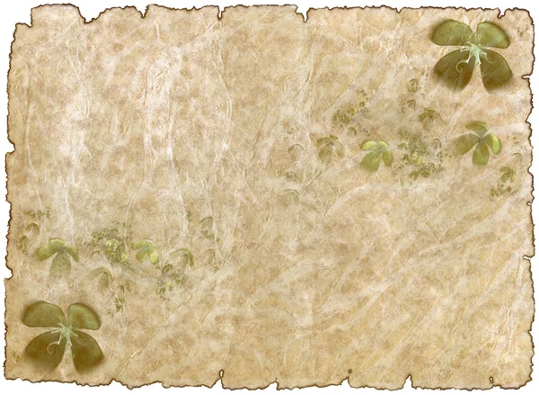 Old parchment paper with shamrock — Stock Photo, Image