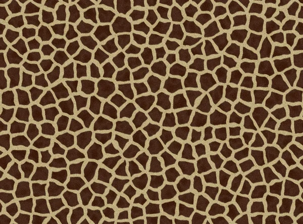 Giraffenflecken, Giraffenfell — Stockfoto