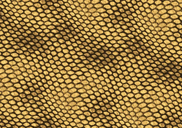 Текстура кожи рептилии — стоковое фото