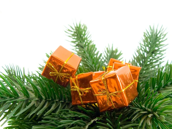 Ornament — Stock Photo, Image