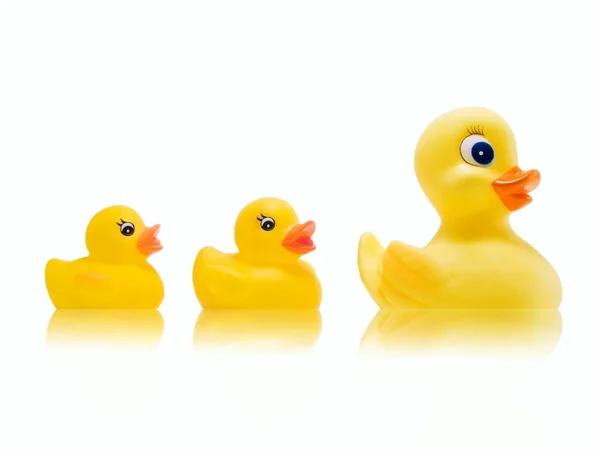 stock image Rubber Ducks