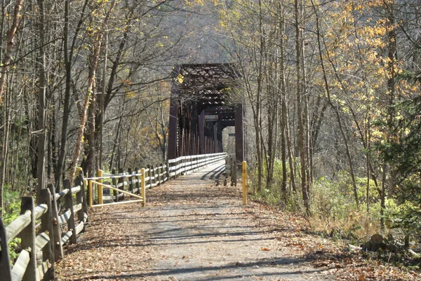 stock image PATH TO A FOOT BRIDGE