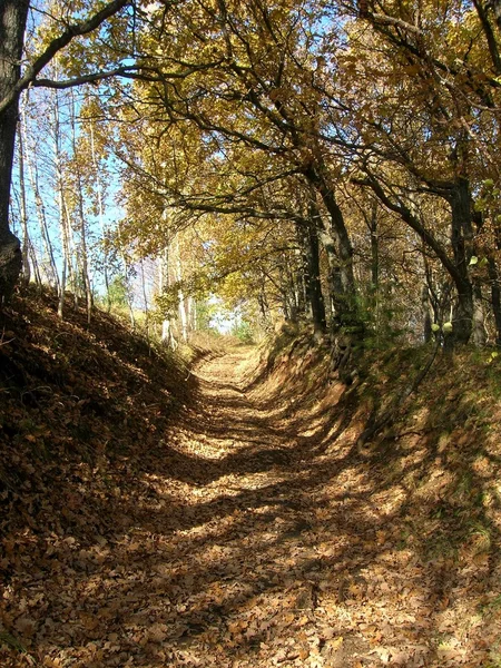 Droga krajowa jesienią — Zdjęcie stockowe