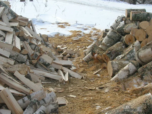 Billets and stumps — Stock Photo, Image