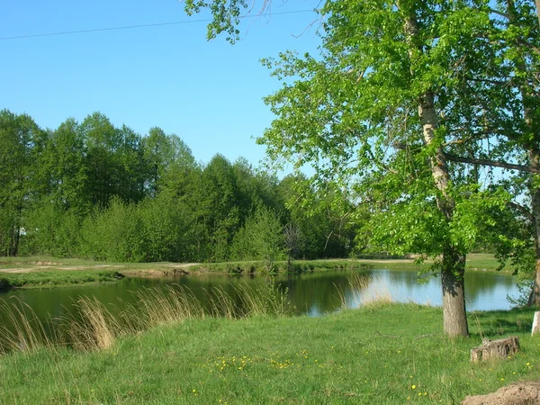 stock image Spring landscape