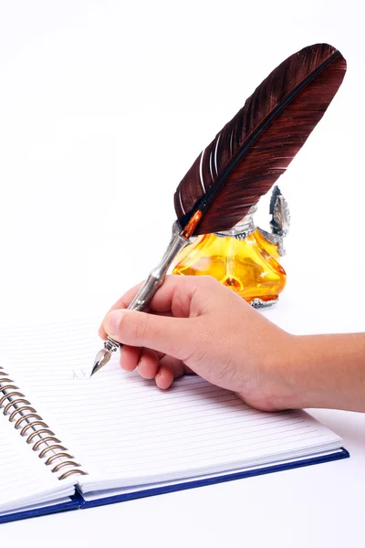 Bir kalemle yazmak — Stok fotoğraf