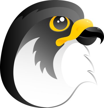 Falcon clipart