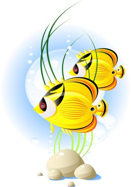 Tropical fish clipart