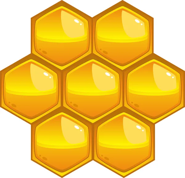 Peine de abeja — Vector de stock