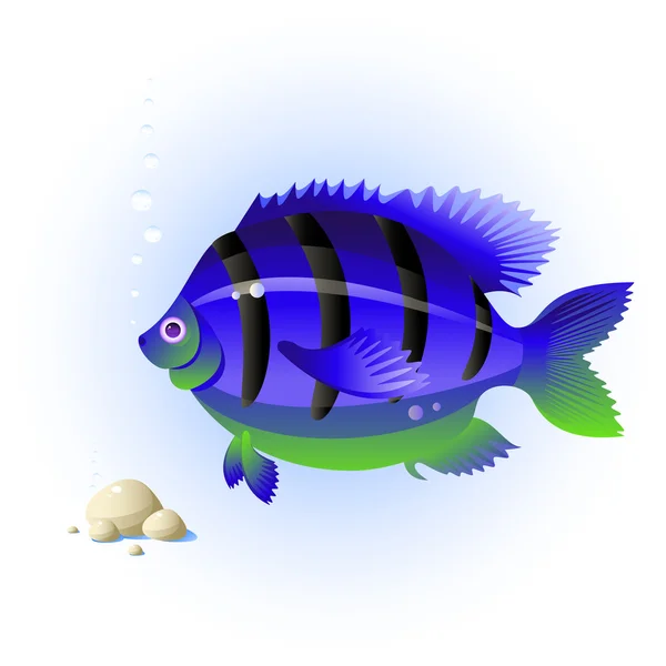 Peixe tropical — Vetor de Stock