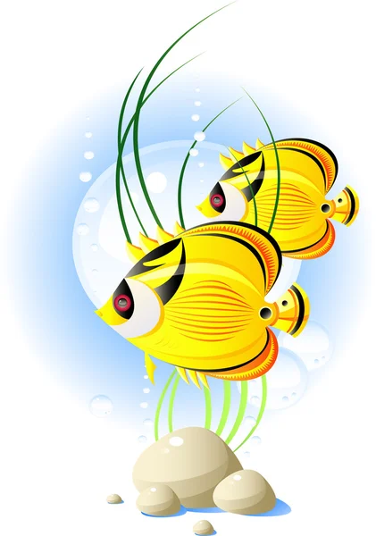 熱帯の魚 — ストックベクタ