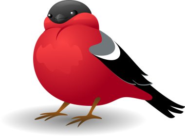 Bullfinch clipart