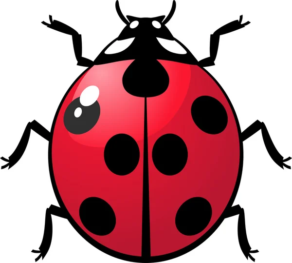 Ladybug — Stock Vector