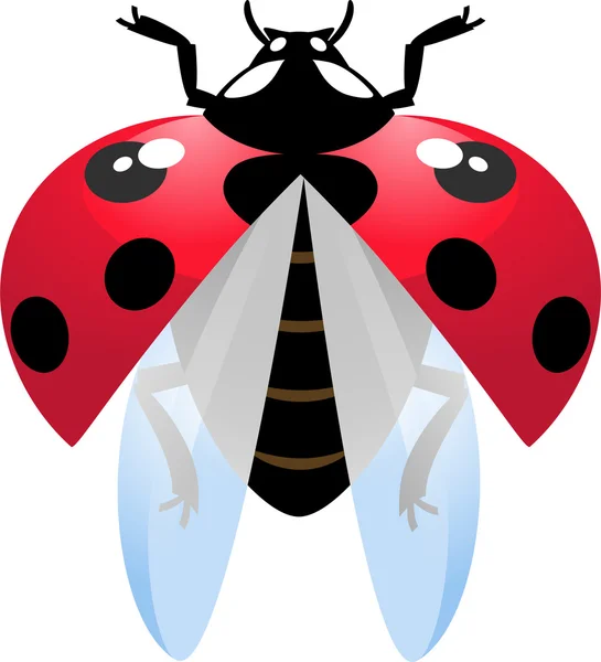 Flying ladybird — Stock Vector
