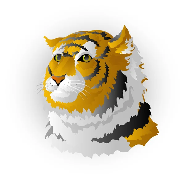 Head of a tiger — Stock Vector