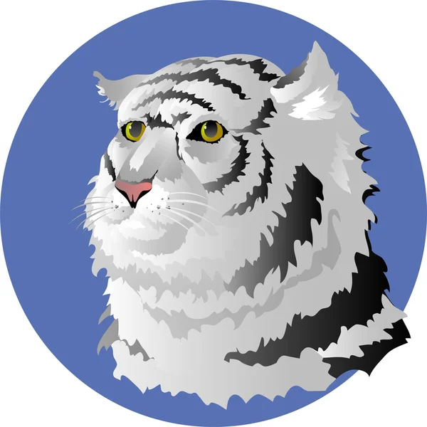Tête de tigre blanc — Image vectorielle
