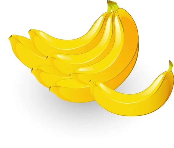 Plátanos — Vector de stock
