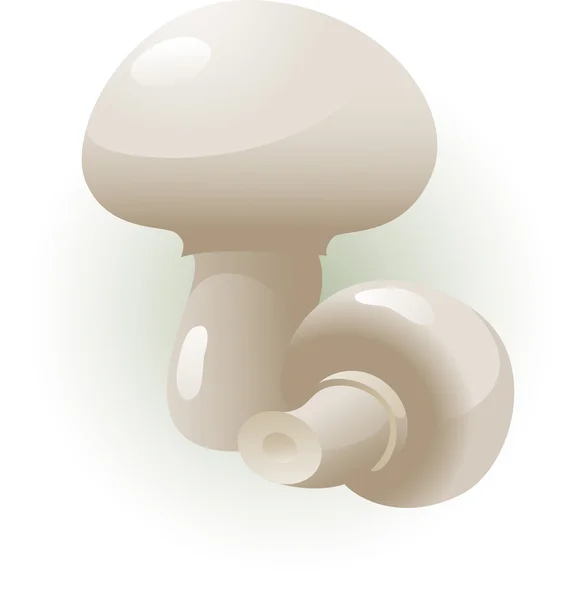 香菇 — 图库矢量图片