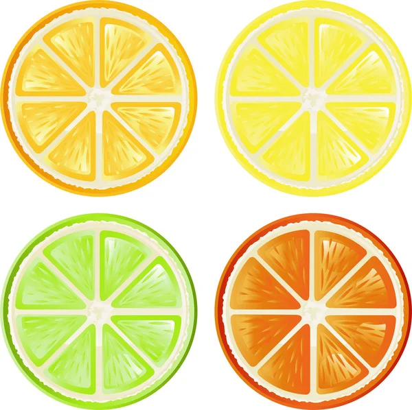 Citrusové sady — Stockový vektor