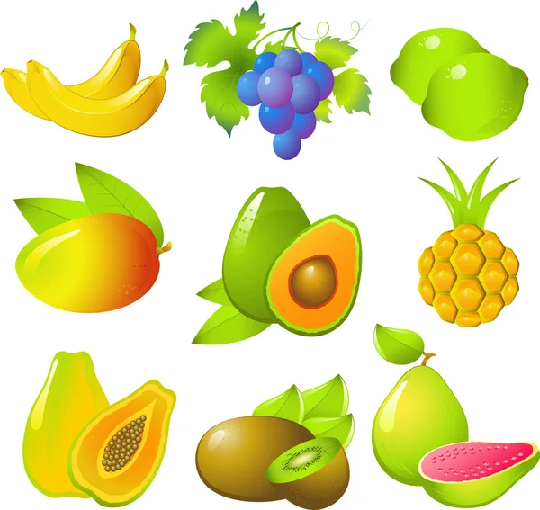Set of exotic fruits — Stock Vector