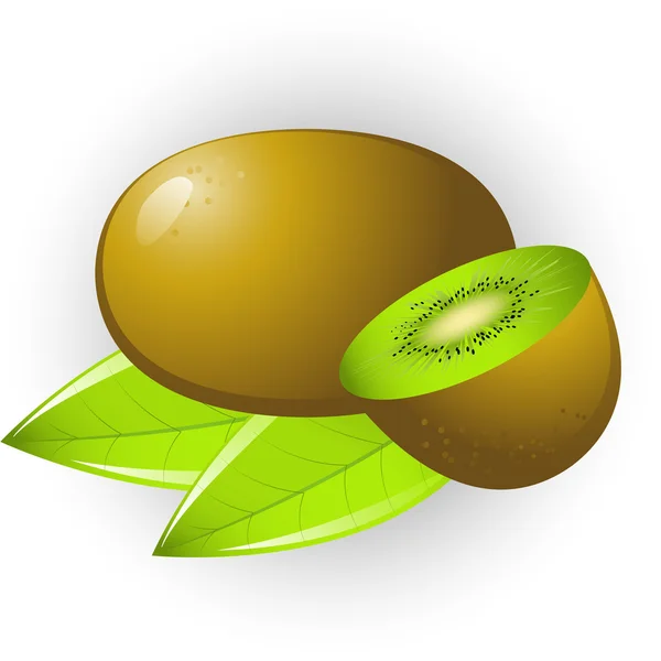 Kiwi ! — Image vectorielle