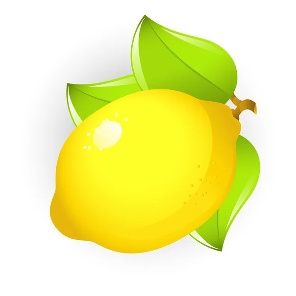 Cytryna — Wektor stockowy