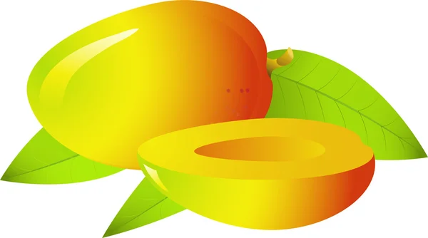 Mangue — Image vectorielle