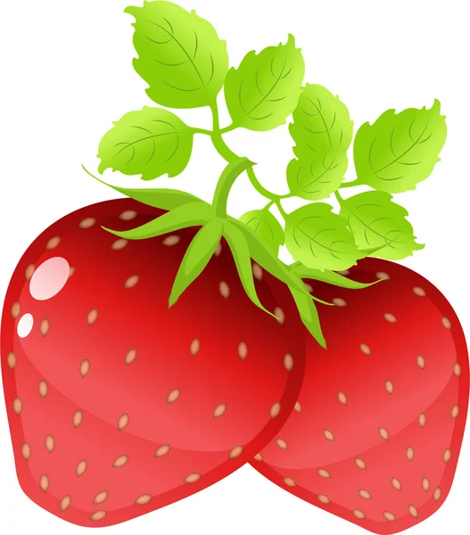 Strawberries on the white — Stock Vector
