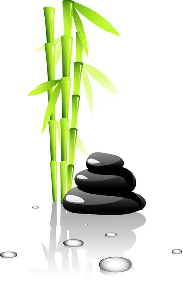 SPA. Bamboo and black stones. — Stock Vector