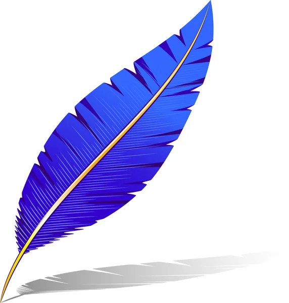 Feather — Stock Vector